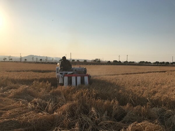 种植基地